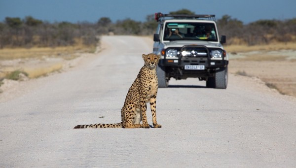 Parque Nacional Etosha